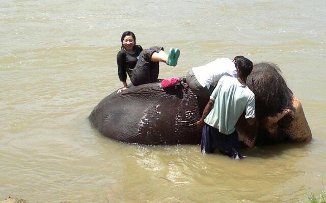 The 90's Sauraha