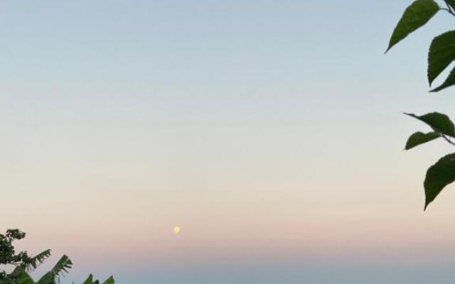 Senayablaevpansiyonculuk