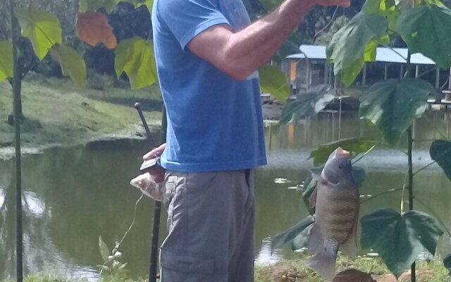 Wonderful View Cabins