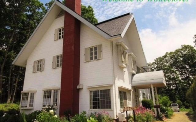 Pension White Clover