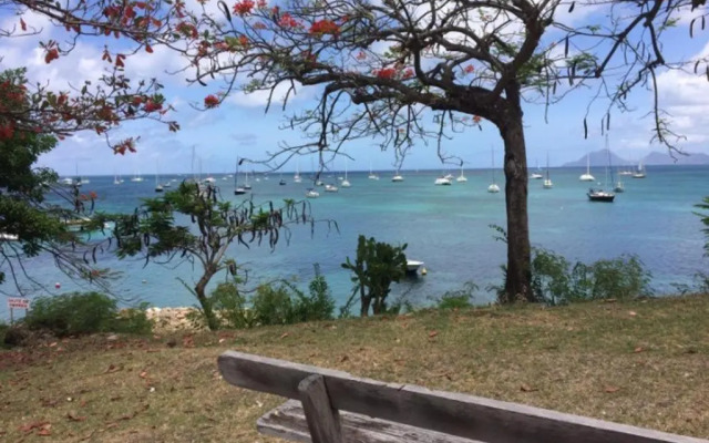 Holidays in Martinique - Ravenala