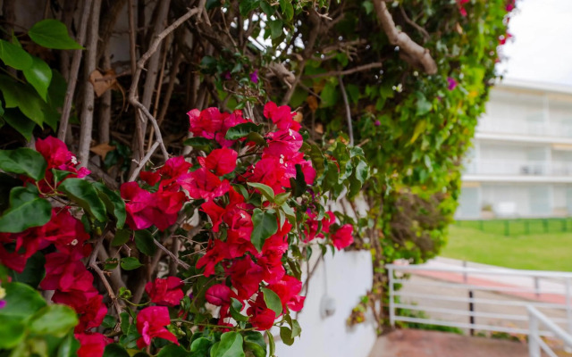 Apartamento Almadraba