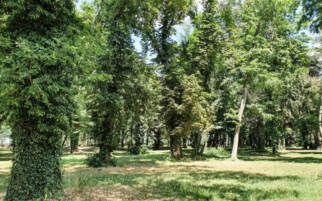 Dworek Brodowo Restauracja Hotel Przyjęcia