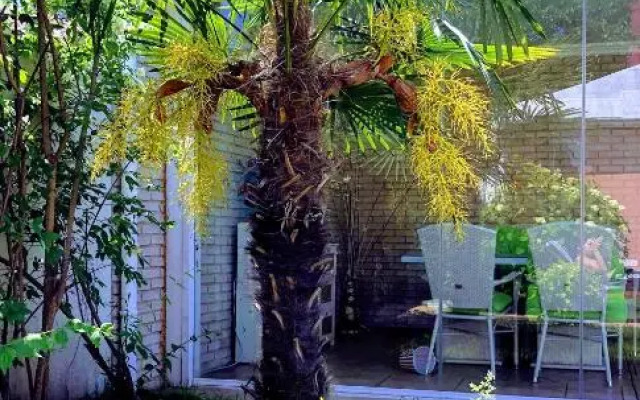 Red House Family Hotel