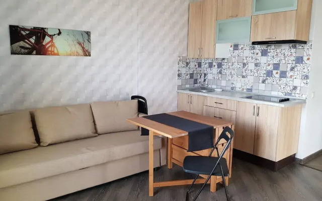 LOFT STUDIO Yubileyny 40-2