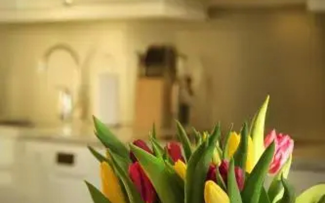 Dp Apartments Vaasa II