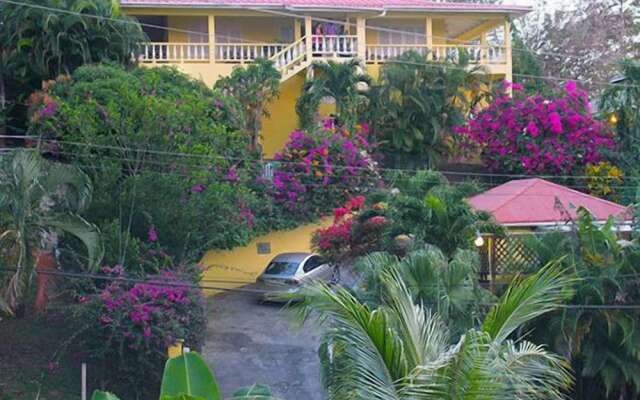 Hibiscus Heights