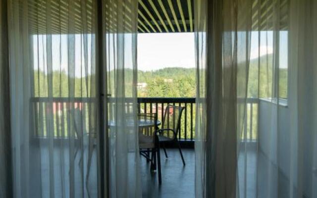 Apartments Alpin Resort Poiana Brasov