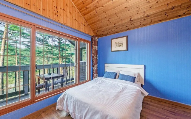 Fantasy Castle Pension