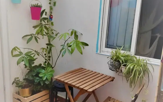 La Casa del Colibrí Youth Hostel