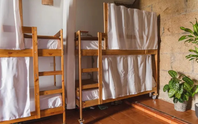 Ashavana Nest Hostel