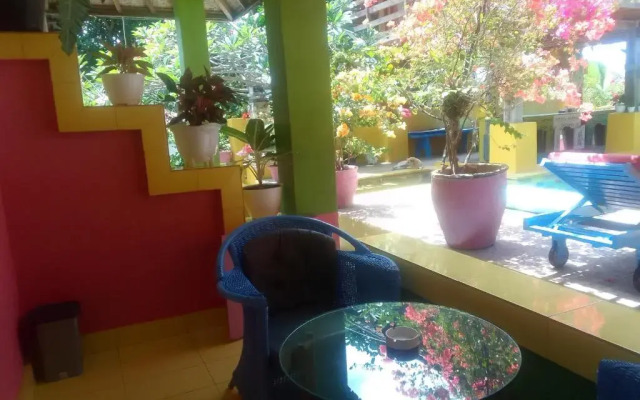 Alola Inn