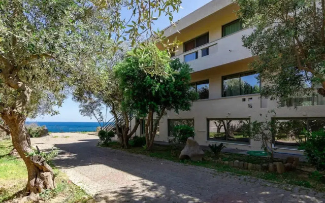 Astra Beach Studio 2