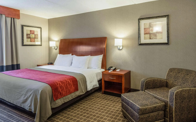 Comfort Inn & Suites West Springfield