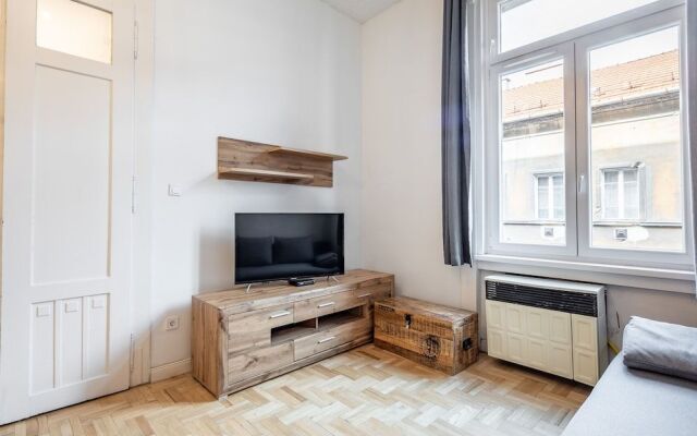 Central Luxury Apartment