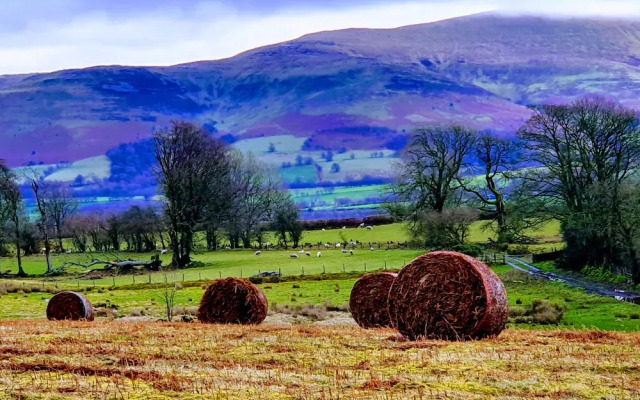 Upper Ffinnant