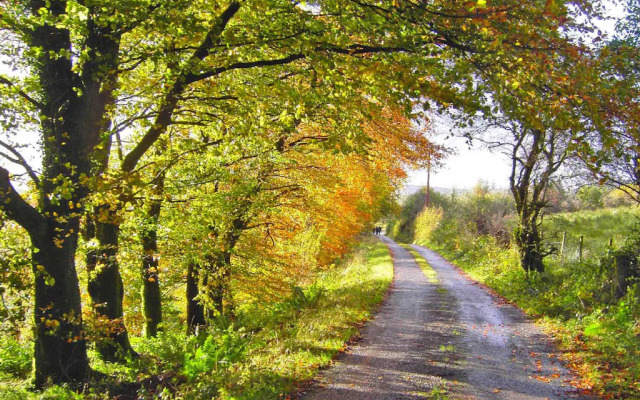 Holiday Apartment Tawnylust Lodge, Manorhamilton