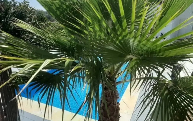 New Luxery Villa With Big Pool