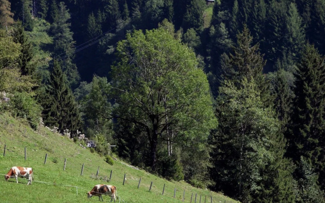 Apartment in Sankt Johann im Pongau Near Ski Area
