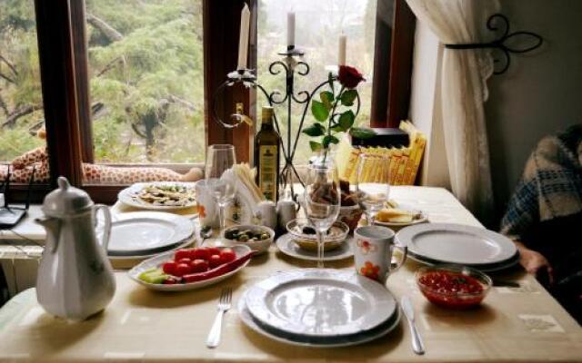 Villa Castelul Maria