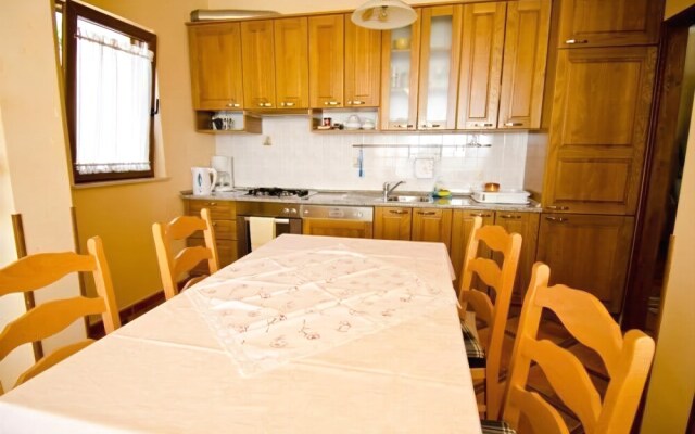 Apartment Marko