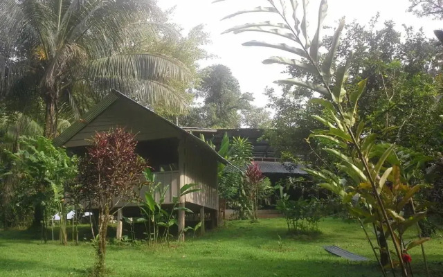 Estación Biológica Tamandua
