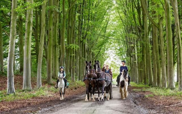 Vakantieboerderij Ferme Le Bleuet