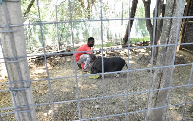 fattoria country village