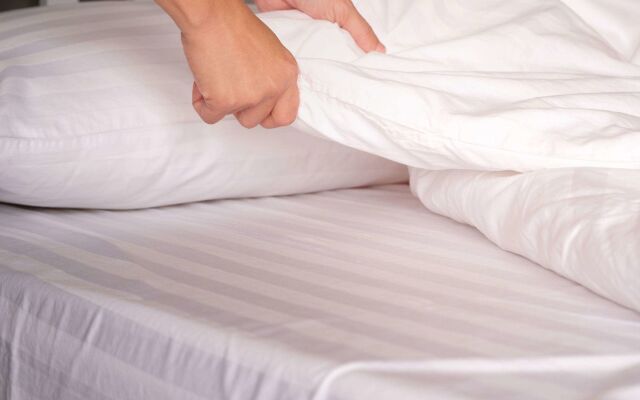 Econo Lodge Inn & Suites Ocean Springs - Biloxi