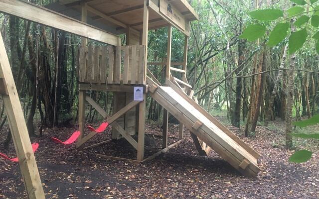 Cabanas Ensenada Bosque Nativo