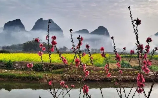 Yingxi Peak Forest Corridor Xingxiwei Homestay