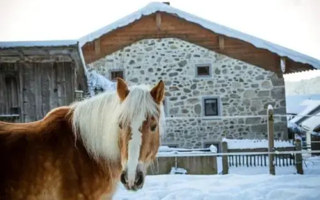 Landurlaub bei Familie Haug