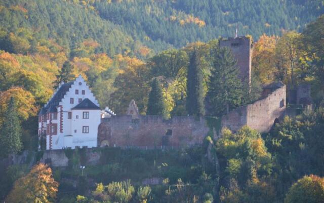 Panorama Blick Miltenberg, 3 Pers., Zentr., Am Main, Terrasse, Bootverleih, P