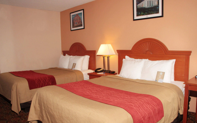 Comfort Inn Downtown Nashville - Music City Center