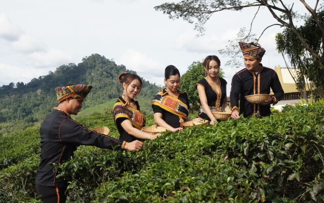 Sabah Tea Resort