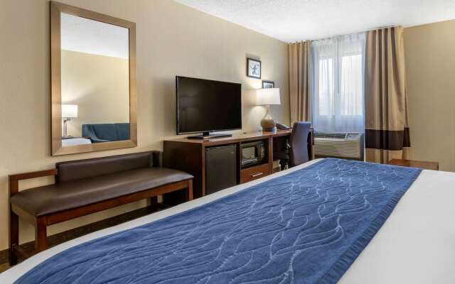 Comfort Inn Near Greenfield Village