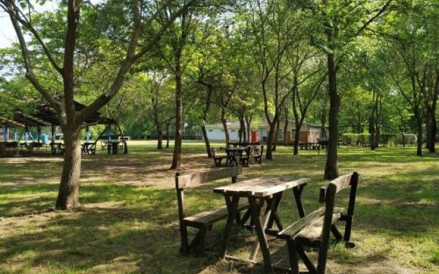 Dorcas Center & Camping