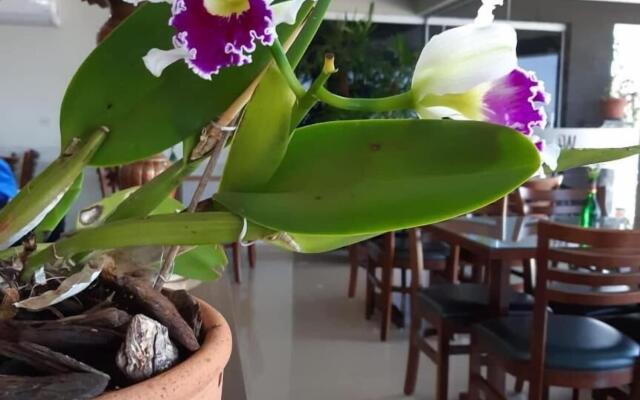 WR Confort Hotel Campo Grande