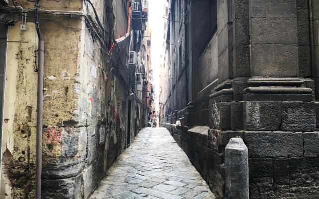 Napulitano Assaje Home