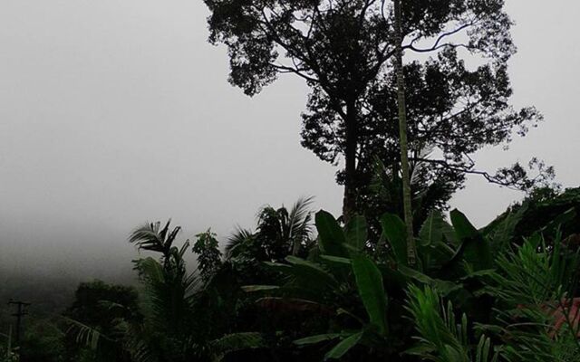Baan Pennee