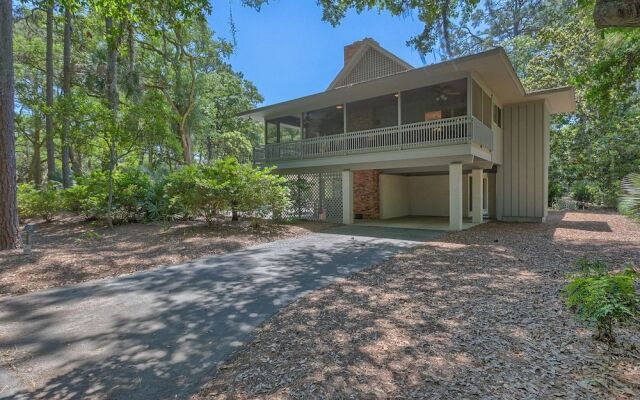 Surf Scoter 12 by RedAwning