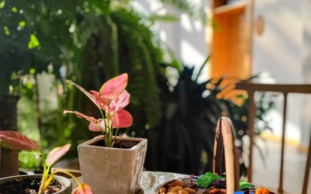 Yundu Huazhai | Senye · Blossom Scenic Courtyard Boutique Stay (Xinyuan) – Meal – Xinyuan