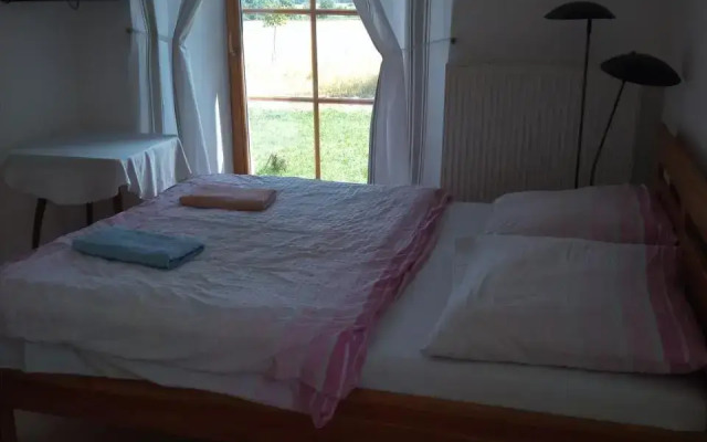 Dvůr v Borovné
