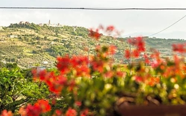 Collina dei Ciliegi b&b
