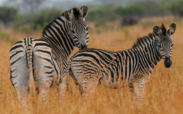 Waterberg Game Park