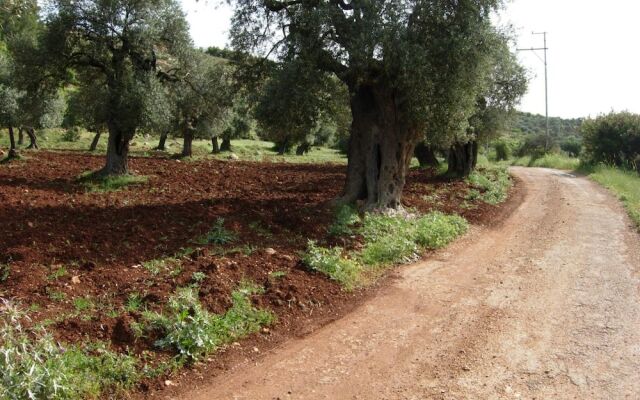 Ajloun Hotel