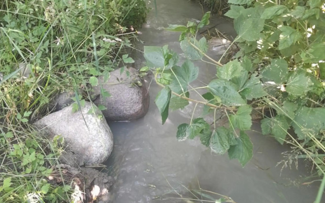 Waterfall in the yard