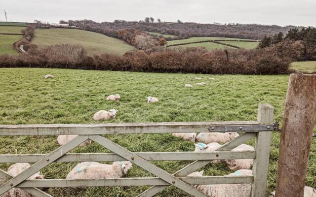 Stunning Shepherd's Hut Retreat, North Devon