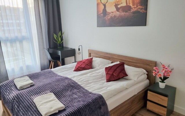 Pet-friendly Apartment by Renters