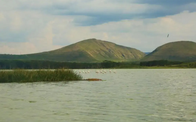 White Thorn Cottages